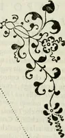 An illustration from Architettura ciuile demostratiuamente proportionata et accresciuta di nuoue regole : con l'vso delle quali si facilita l'inuentione d'ogni douuta proportione nelli cinque ordini, e col ritrouamento d'vn nuouo strumento angolare, si da il modo à gl'operarij medesimi di pratticamente stabilire le sacome in ogni loro necessario contorno (1661)