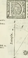 An illustration from Architettura ciuile demostratiuamente proportionata et accresciuta di nuoue regole : con l'vso delle quali si facilita l'inuentione d'ogni douuta proportione nelli cinque ordini, e col ritrouamento d'vn nuouo strumento angolare, si da il modo à gl'operarij medesimi di pratticamente stabilire le sacome in ogni loro necessario contorno (1661)
