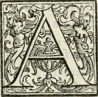 An illustration from Architettura ciuile demostratiuamente proportionata et accresciuta di nuoue regole : con l'vso delle quali si facilita l'inuentione d'ogni douuta proportione nelli cinque ordini, e col ritrouamento d'vn nuouo strumento angolare, si da il modo à gl'operarij medesimi di pratticamente stabilire le sacome in ogni loro necessario contorno (1661)
