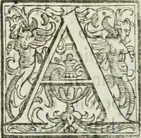An illustration from Architettura ciuile demostratiuamente proportionata et accresciuta di nuoue regole : con l'vso delle quali si facilita l'inuentione d'ogni douuta proportione nelli cinque ordini, e col ritrouamento d'vn nuouo strumento angolare, si da il modo à gl'operarij medesimi di pratticamente stabilire le sacome in ogni loro necessario contorno (1661)