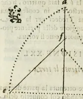 An illustration from Architettura ciuile demostratiuamente proportionata et accresciuta di nuoue regole : con l'vso delle quali si facilita l'inuentione d'ogni douuta proportione nelli cinque ordini, e col ritrouamento d'vn nuouo strumento angolare, si da il modo à gl'operarij medesimi di pratticamente stabilire le sacome in ogni loro necessario contorno (1661)
