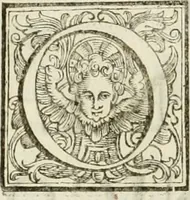 An illustration from Architettura ciuile demostratiuamente proportionata et accresciuta di nuoue regole : con l'vso delle quali si facilita l'inuentione d'ogni douuta proportione nelli cinque ordini, e col ritrouamento d'vn nuouo strumento angolare, si da il modo à gl'operarij medesimi di pratticamente stabilire le sacome in ogni loro necessario contorno (1661)