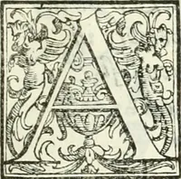 An illustration from Architettura civile demonstrativamente proportionata et accresciuta di nuove regole : con l'vso delle quali si facilita l'inventione d'ogni dovuta proportione nelli cinque ordini, e col ritrovamento d'vn nuovo strumento angolare, si da il modo à gl'operarij medesimi di pratticamente stabilire le sacome in ogni loro necessario contorno (1686)