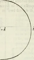 An illustration from Architettura civile demonstrativamente proportionata et accresciuta di nuove regole : con l'vso delle quali si facilita l'inventione d'ogni dovuta proportione nelli cinque ordini, e col ritrovamento d'vn nuovo strumento angolare, si da il modo à gl'operarij medesimi di pratticamente stabilire le sacome in ogni loro necessario contorno (1686)