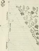 An illustration from Architettura civile demonstrativamente proportionata et accresciuta di nuove regole : con l'vso delle quali si facilita l'inventione d'ogni dovuta proportione nelli cinque ordini, e col ritrovamento d'vn nuovo strumento angolare, si da il modo à gl'operarij medesimi di pratticamente stabilire le sacome in ogni loro necessario contorno (1686)