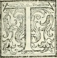 An illustration from Architettura civile demonstrativamente proportionata et accresciuta di nuove regole : con l'vso delle quali si facilita l'inventione d'ogni dovuta proportione nelli cinque ordini, e col ritrovamento d'vn nuovo strumento angolare, si da il modo à gl'operarij medesimi di pratticamente stabilire le sacome in ogni loro necessario contorno (1686)