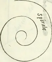 An illustration from Architettura civile demonstrativamente proportionata et accresciuta di nuove regole : con l'vso delle quali si facilita l'inventione d'ogni dovuta proportione nelli cinque ordini, e col ritrovamento d'vn nuovo strumento angolare, si da il modo à gl'operarij medesimi di pratticamente stabilire le sacome in ogni loro necessario contorno (1686)