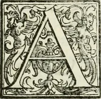 An illustration from Architettura civile demonstrativamente proportionata et accresciuta di nuove regole : con l'vso delle quali si facilita l'inventione d'ogni dovuta proportione nelli cinque ordini, e col ritrovamento d'vn nuovo strumento angolare, si da il modo à gl'operarij medesimi di pratticamente stabilire le sacome in ogni loro necessario contorno (1686)