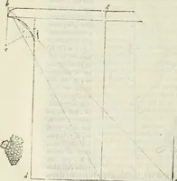 An illustration from Architettura civile demonstrativamente proportionata et accresciuta di nuove regole : con l'vso delle quali si facilita l'inventione d'ogni dovuta proportione nelli cinque ordini, e col ritrovamento d'vn nuovo strumento angolare, si da il modo à gl'operarij medesimi di pratticamente stabilire le sacome in ogni loro necessario contorno (1686)