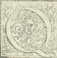 An illustration from Architettura civile demonstrativamente proportionata et accresciuta di nuove regole : con l'vso delle quali si facilita l'inventione d'ogni dovuta proportione nelli cinque ordini, e col ritrovamento d'vn nuovo strumento angolare, si da il modo à gl'operarij medesimi di pratticamente stabilire le sacome in ogni loro necessario contorno (1686)