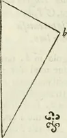 An illustration from Architettura civile demonstrativamente proportionata et accresciuta di nuove regole : con l'vso delle quali si facilita l'inventione d'ogni dovuta proportione nelli cinque ordini, e col ritrovamento d'vn nuovo strumento angolare, si da il modo à gl'operarij medesimi di pratticamente stabilire le sacome in ogni loro necessario contorno (1686)