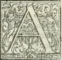 An illustration from Architettura civile demonstrativamente proportionata et accresciuta di nuove regole : con l'vso delle quali si facilita l'inventione d'ogni dovuta proportione nelli cinque ordini, e col ritrovamento d'vn nuovo strumento angolare, si da il modo à gl'operarij medesimi di pratticamente stabilire le sacome in ogni loro necessario contorno (1686)