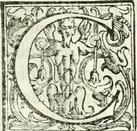 An illustration from Architettura civile demonstrativamente proportionata et accresciuta di nuove regole : con l'vso delle quali si facilita l'inventione d'ogni dovuta proportione nelli cinque ordini, e col ritrovamento d'vn nuovo strumento angolare, si da il modo à gl'operarij medesimi di pratticamente stabilire le sacome in ogni loro necessario contorno (1686)