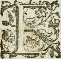 An illustration from Della architettura di Gioseffe Viola Zanini, padovano pittore et architetto, libri due : ne' quali con nuoua simmetria & facoltà si mostrano le giuste regole de i cinque ordini di detta architettura, & osseruationi de'più eccellenti architetti, che in quella habbiano dato ammaestramenti .. (1629)