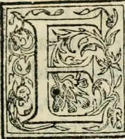 An illustration from Architettvra militare : con altri auuertimenti appartenenti alla guerra (1582)