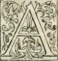 An illustration from Architettvra militare : con altri auuertimenti appartenenti alla guerra (1582)