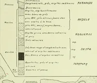 Picture 3 of 83 from Archives des sciences physiques et naturelles (1919), leaf 100