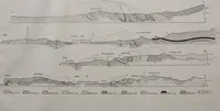 An illustration from Archives des sciences physiques et naturelles (1919)