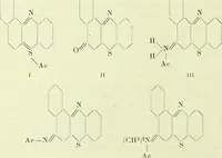 An illustration from Archives des sciences physiques et naturelles (1919)