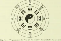 Picture 16 of 83 from Archives des sciences physiques et naturelles (1919), leaf 229