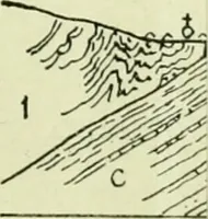 An illustration from Archives des sciences physiques et naturelles (1919)