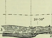 An illustration from Archives des sciences physiques et naturelles (1919)