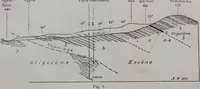 An illustration from Archives des sciences physiques et naturelles (1919)