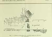 Picture 29 of 83 from Archives des sciences physiques et naturelles (1919), leaf 336