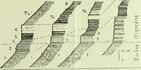 An illustration from Archives des sciences physiques et naturelles (1919)