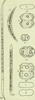 An illustration from Archives des sciences physiques et naturelles (1919)