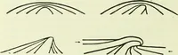 An illustration from Archives des sciences physiques et naturelles (1919)