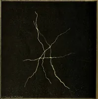 An illustration from Archives des sciences physiques et naturelles (1878)