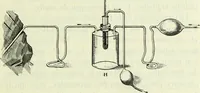 An illustration from Archives des sciences physiques et naturelles (1896)
