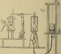 An illustration from Archives des sciences physiques et naturelles (1878)