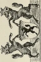 An illustration from Archives héraldiques suisses. Schweizer archiv für heraldik (1887)
