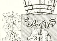 An illustration from Archives héraldiques suisses. Schweizer archiv für heraldik (1887)