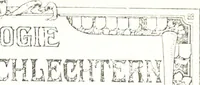 Picture 10 of 34 from Archiv für Stamm- und Wappenkunde (1903), leaf 132