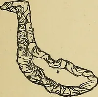 An illustration from Archæology and false antiquities (1906)
