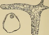 An illustration from Archæology and false antiquities (1906)