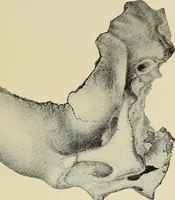An illustration from Archæology and false antiquities (1906)