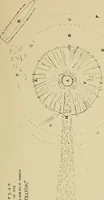 An illustration from Archæology and false antiquities (1906)