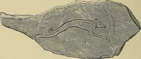 An illustration from Archæology and false antiquities (1906)