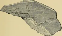 An illustration from Archæology and false antiquities (1906)