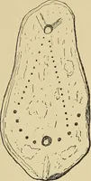 An illustration from Archæology and false antiquities (1906)