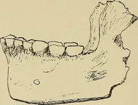 An illustration from Archæology and false antiquities (1906)