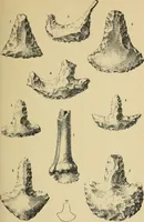 An illustration from Archæology and false antiquities (1906)