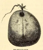 Picture 3 of 11 from Arctic researches, and life among the Esquimaux; being the narrative of an expedition in search of Sir John Franklin, in the years 1860, 1861, and 1862 (1865), leaf 164