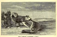 Picture 7 of 11 from Arctic researches, and life among the Esquimaux; being the narrative of an expedition in search of Sir John Franklin, in the years 1860, 1861, and 1862 (1865), leaf 351
