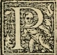 Picture 10 of 48 from Aresta amorum, accuratissimis Benedicti Curtii Symphoriani commentarius ad utriusque juris rationem, forensiumque actionum usum, quam acutissime accommodata (1546), leaf 113