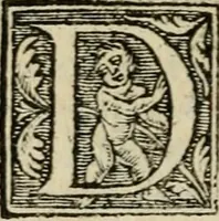 Picture 11 of 48 from Aresta amorum, accuratissimis Benedicti Curtii Symphoriani commentarius ad utriusque juris rationem, forensiumque actionum usum, quam acutissime accommodata (1546), leaf 119